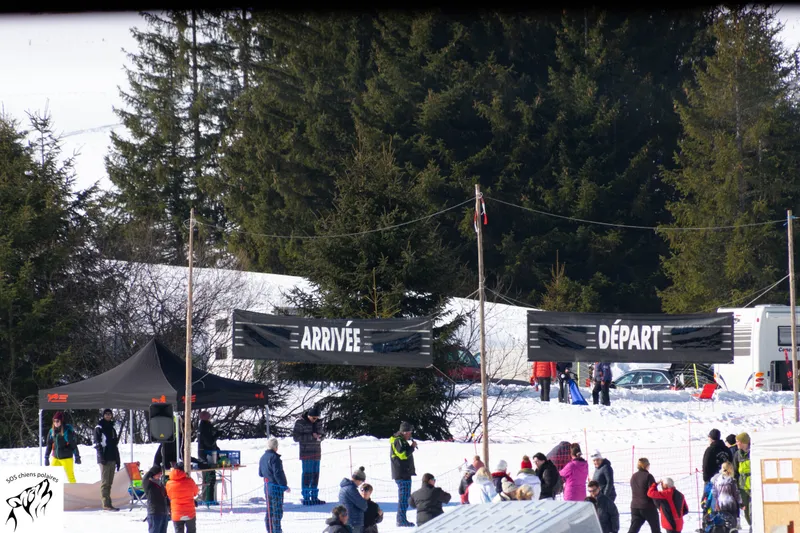 Un attelage sur le parcours de la Course des Mosses (photo 2 sur 13)