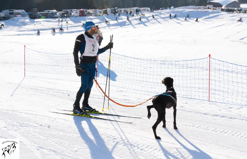 Un attelage sur le parcours de la Course des Mosses (photo 5 sur 13)