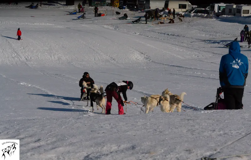 Un attelage sur le parcours de la Course des Mosses (photo 6 sur 13)