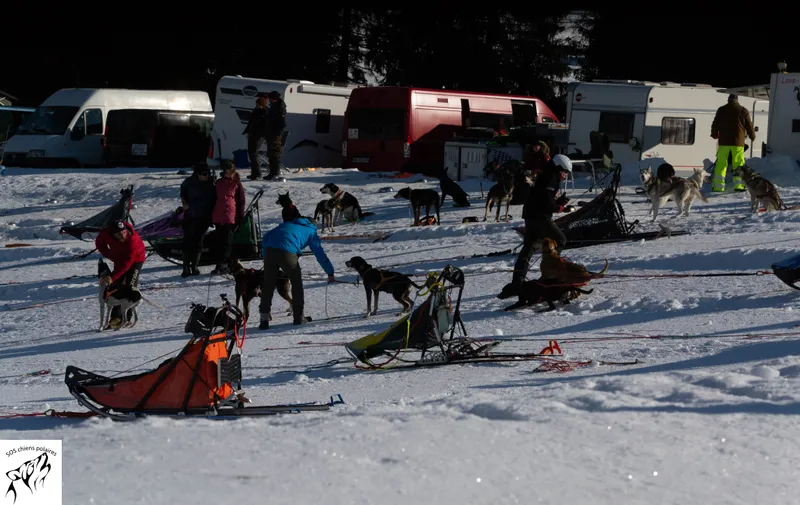 Un attelage sur le parcours de la Course des Mosses (photo 7 sur 13)