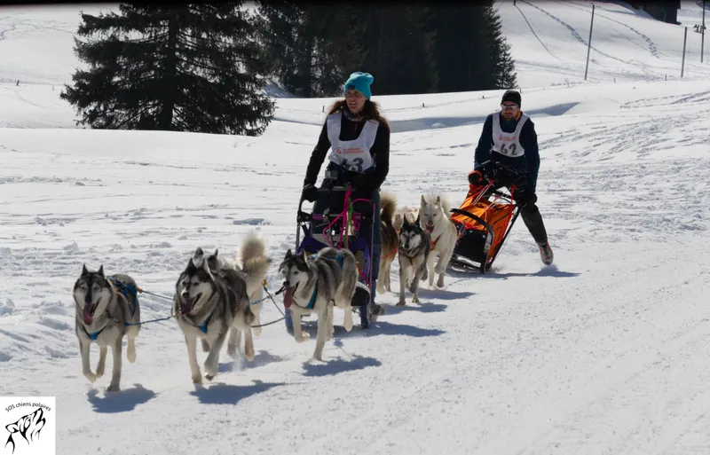 Un attelage sur le parcours de la Course des Mosses (photo 10 sur 13)