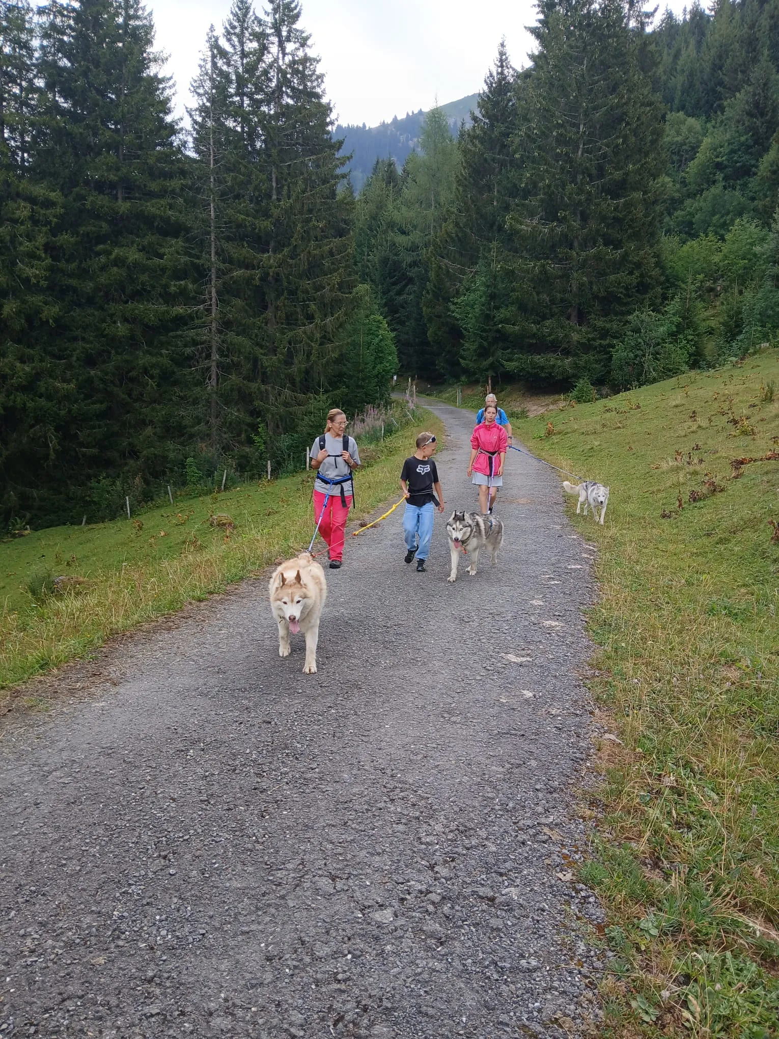 Cani-Rando avec les chiens du refuge
