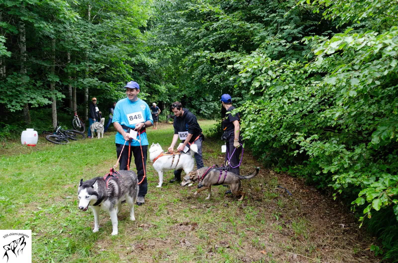 Un coureur et son chien sur le parcours du canicross de St-Cierges