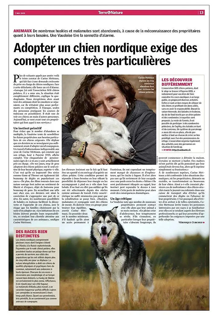 Terre&Nature — « le chien nordique exige des compétences très particulières »