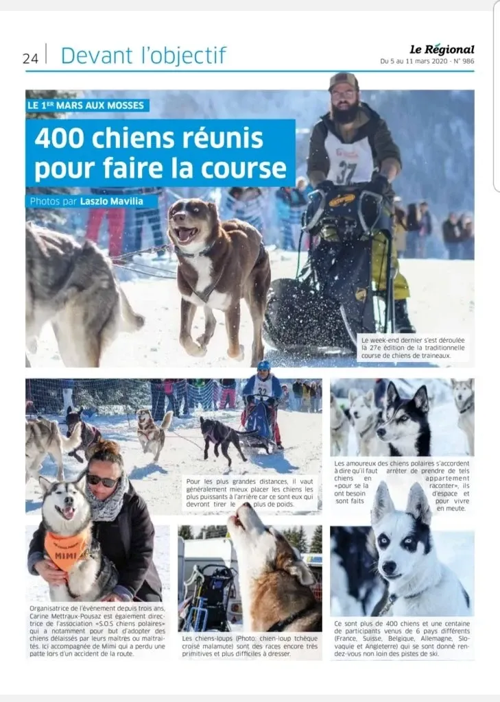 Le Régional — « 400 chiens réunis pour faire la course »