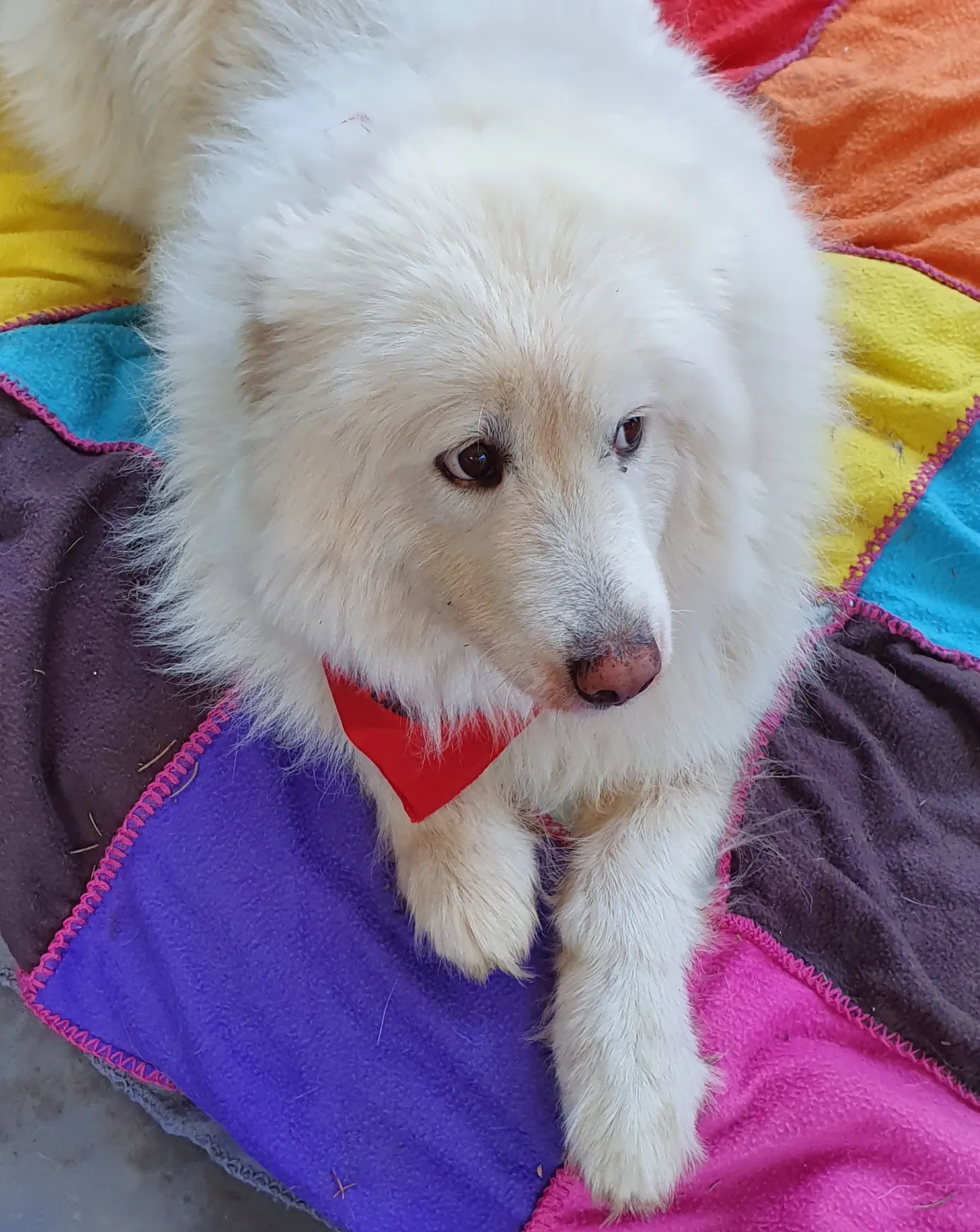 Taïga, en mémoire