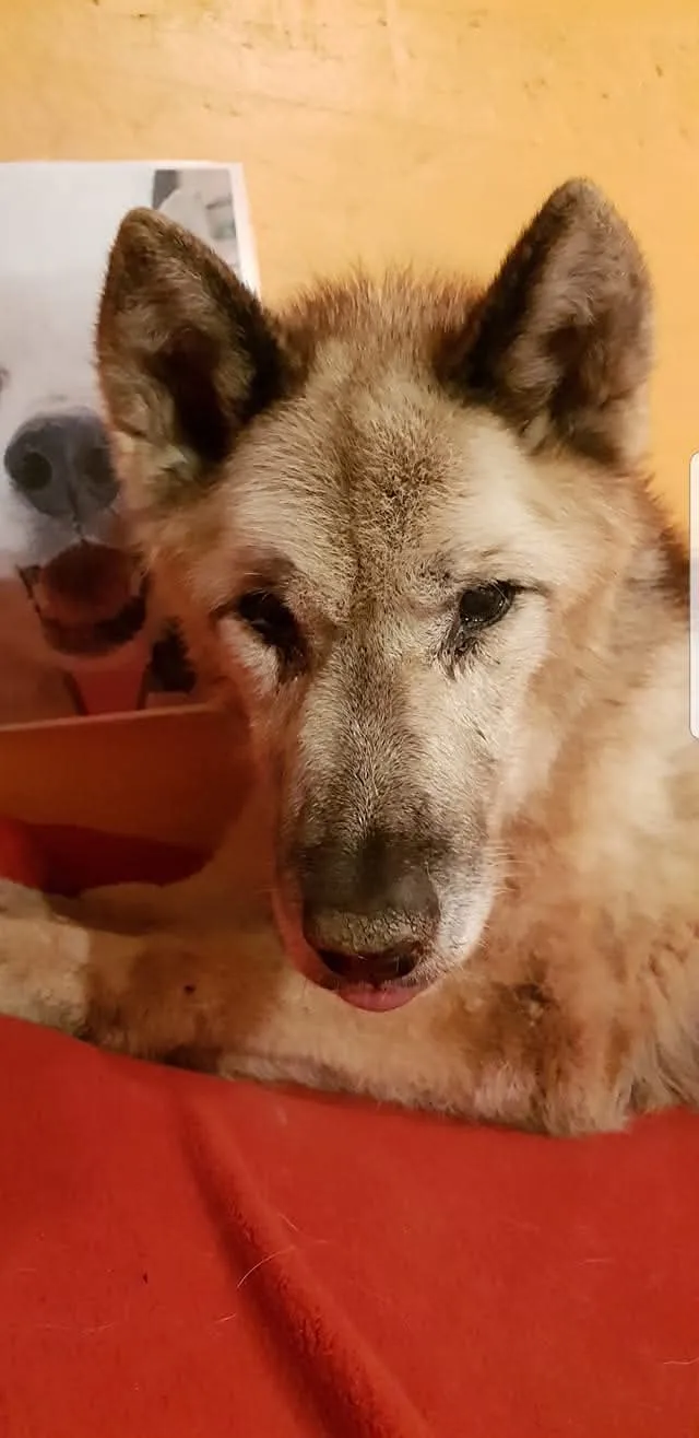 Tamka, en mémoire